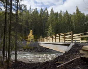 Brewster Bridge